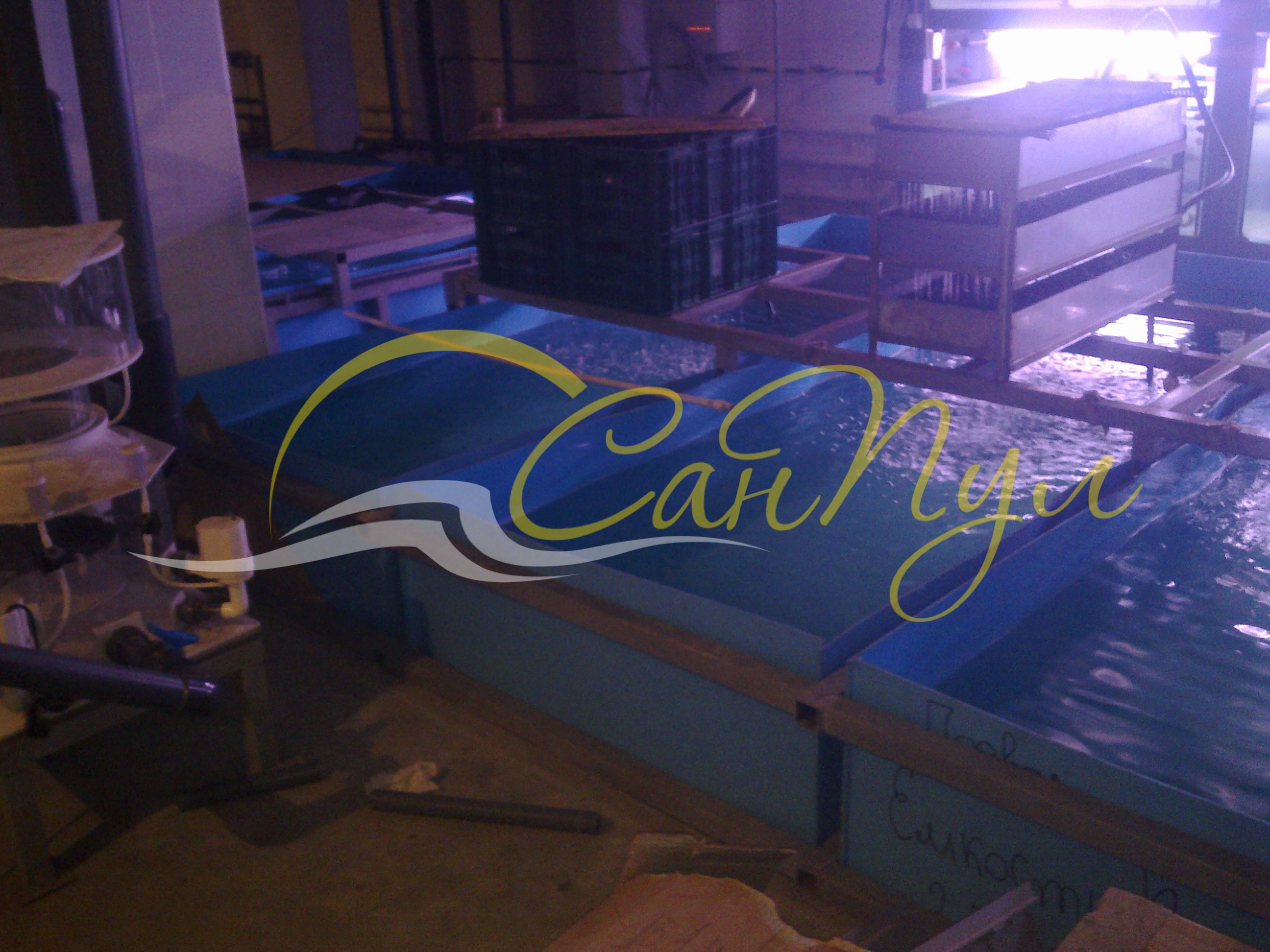 Емкости для разведения рыбы купить